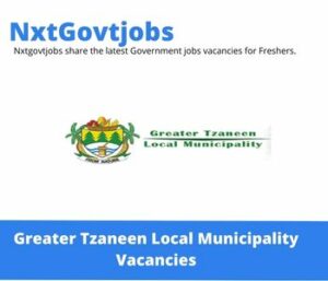 Greater Tzaneen Municipality Director Engineering Services Vacancies in Tzaneen 2023