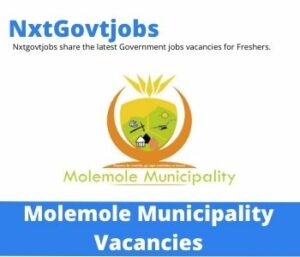 Molemole Municipality Audit Committee Member Vacancies in Polokwane – Deadline 08 Sep 2023