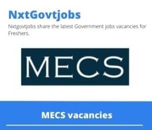 MECS Civil Engineer Vacancies in Polokwane – Deadline 29 Nov 2023